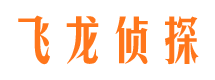 滨江市调查公司